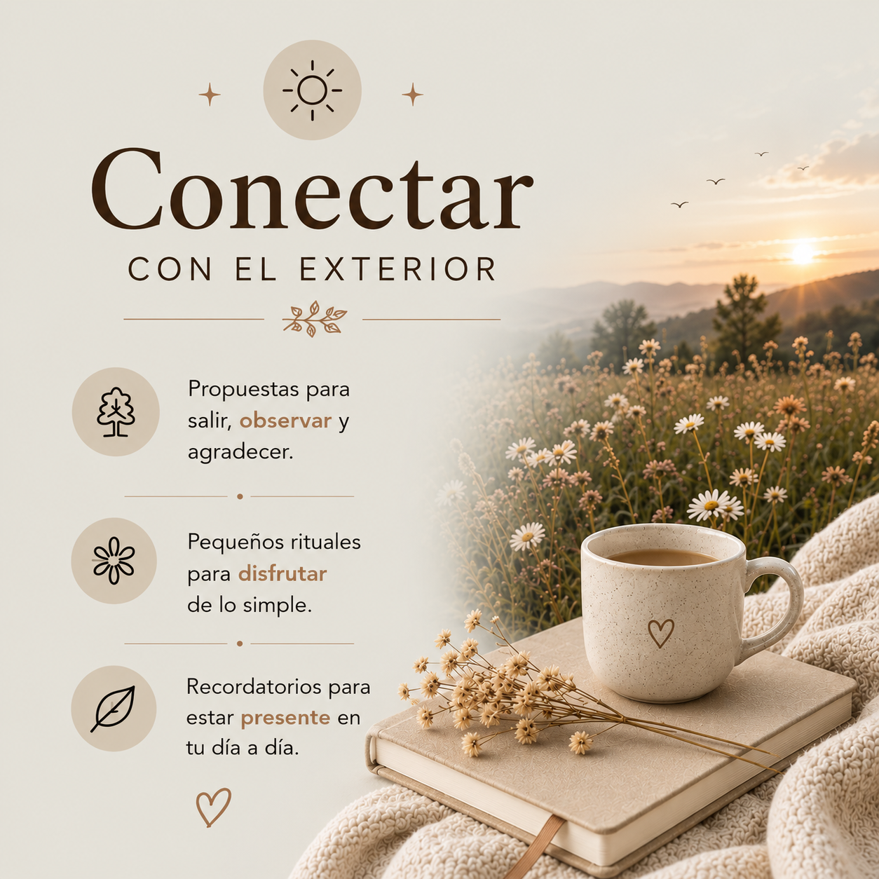 Mi lugar seguro: El libro que te abraza cuando más lo necesitás